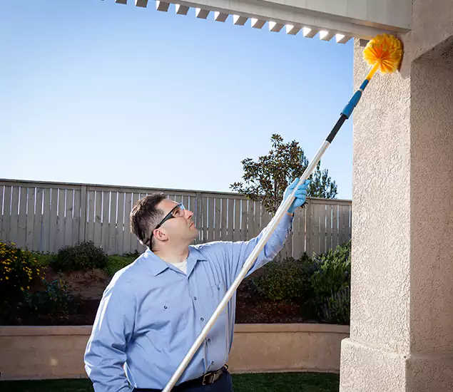 Your Trusted Wasp Removal Company in Lake Oswego, OR