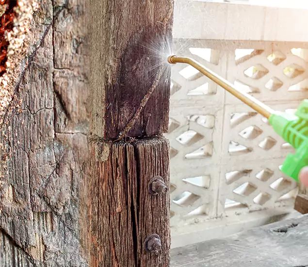 About Wood Termite Treatment Services in Lake Oswego, OR