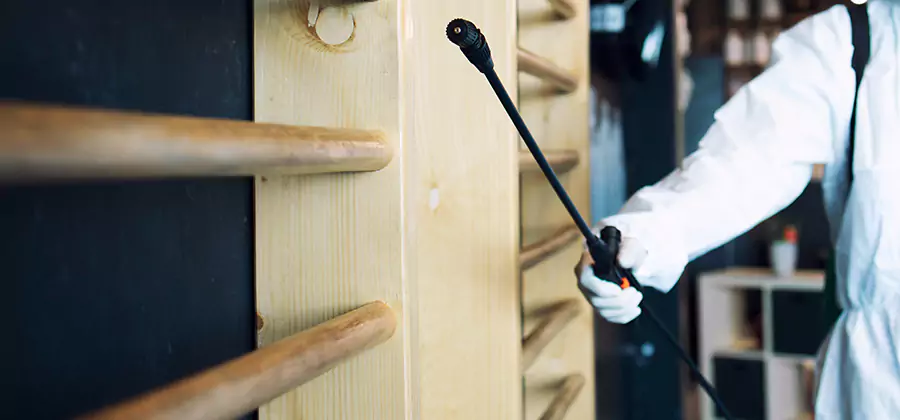 Attic Wood Termite Treatment in Lake Oswego