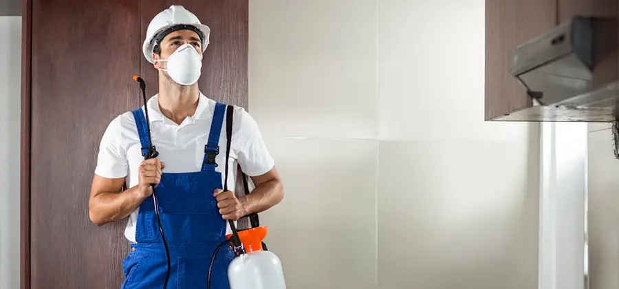 Per Room Bed Bug Cost in Lake Oswego
