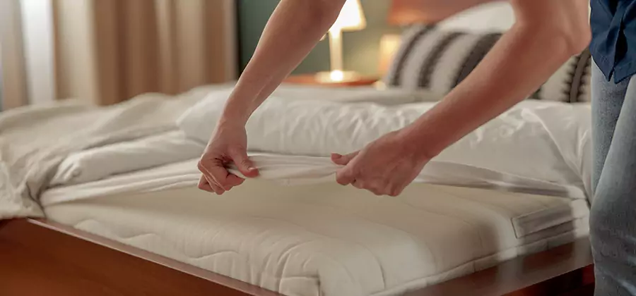 Bed Bug Extermination Services in Lake Oswego