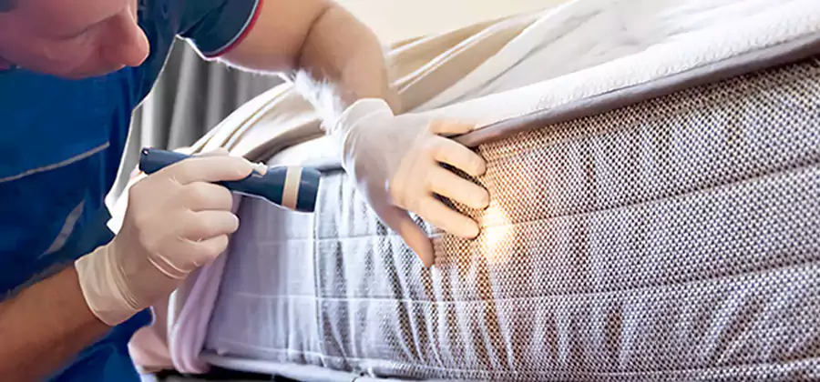Residential Bed Bug Treatment Cost in Lake Oswego