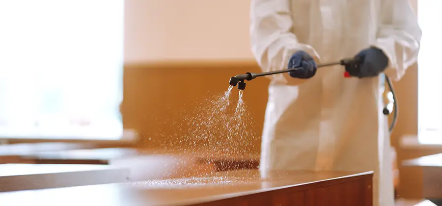 Residential Bed Bug Treatment Option in Lake Oswego