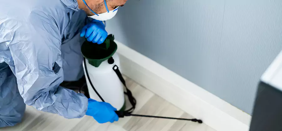Fumigate Apartment Roaches in Lake Oswego