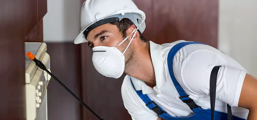 Injection Foam Treatment for Drywood Termites in Lake Oswego