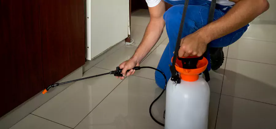 Indoor Mosquito Treatment in Lake Oswego