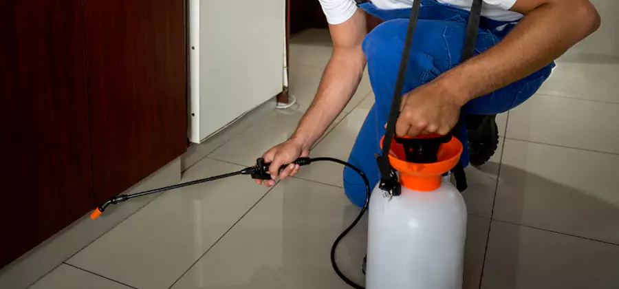 Indoor Insect Killer Solutions in Lake Oswego
