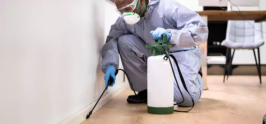 Long Lasting Mosquito Treatment in Lake Oswego