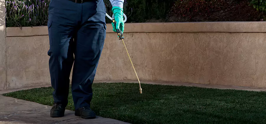 Soil Treatment for New Construction Termites in Lake Oswego
