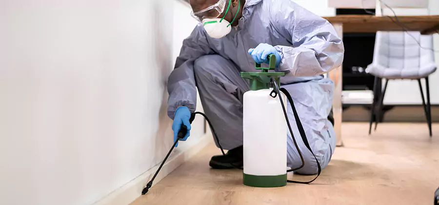 No Tent Termite Extermination With Electric Tool in Lake Oswego