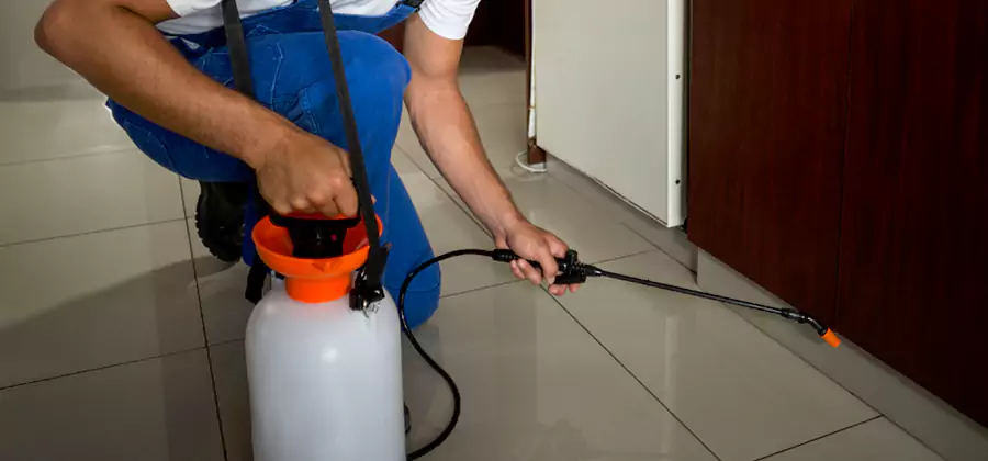 One Time Termite Control in Lake Oswego