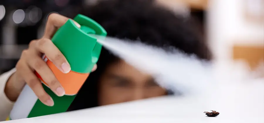 Child Safe Bed Bug Treatment in Lake Oswego