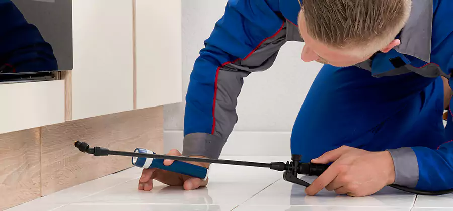 Moisture Treatment For Termite Control Service in Lake Oswego