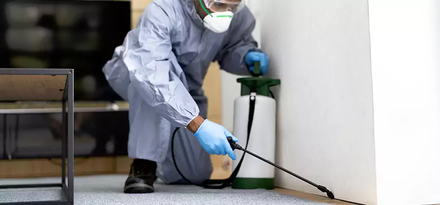 Wood Protection Termite Treatment in Lake Oswego