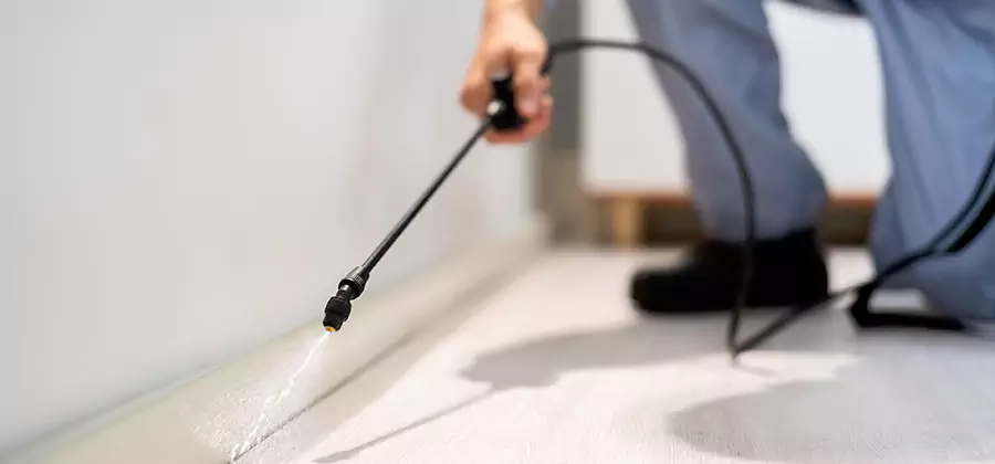 Direct Termite Injection Treatment in Lake Oswego