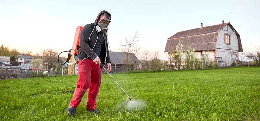 Flea and Tick Pest Control in Lake Oswego