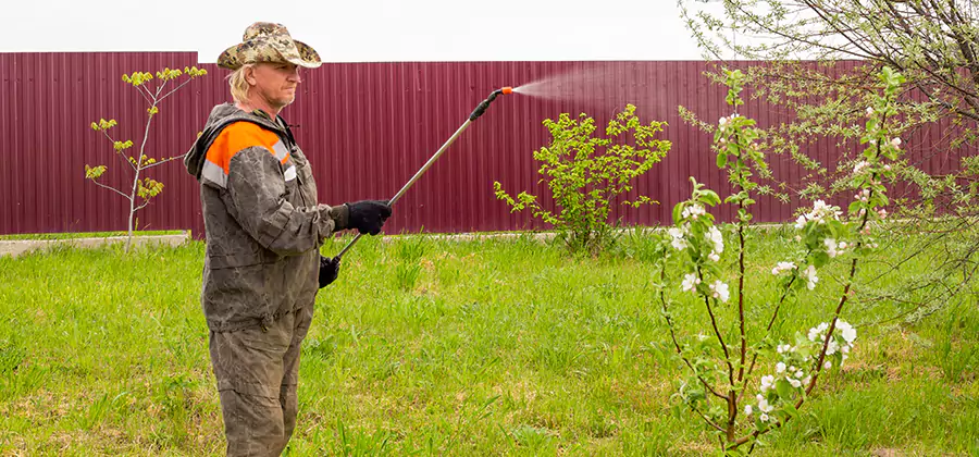 Flea and Tick Spray for Yard in Lake Oswego