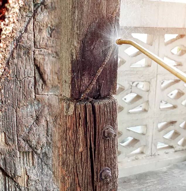 Why Choose Lake Oswego Pest Control Pro for Attic Termite Treatment in Lake Oswego, OR?