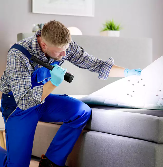 Why Choose Lake Oswego Pest Control Pro for Bed Bug Exterminator Cost in Lake Oswego, OR?