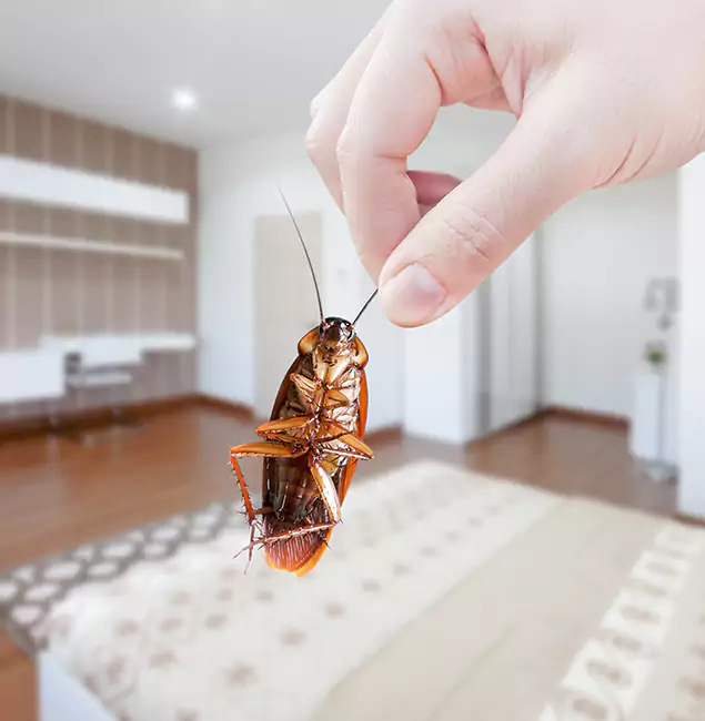 Why Lake Oswego Pest Control Pro Stand Out for Bed Bug Fumigation in Lake Oswego, OR?