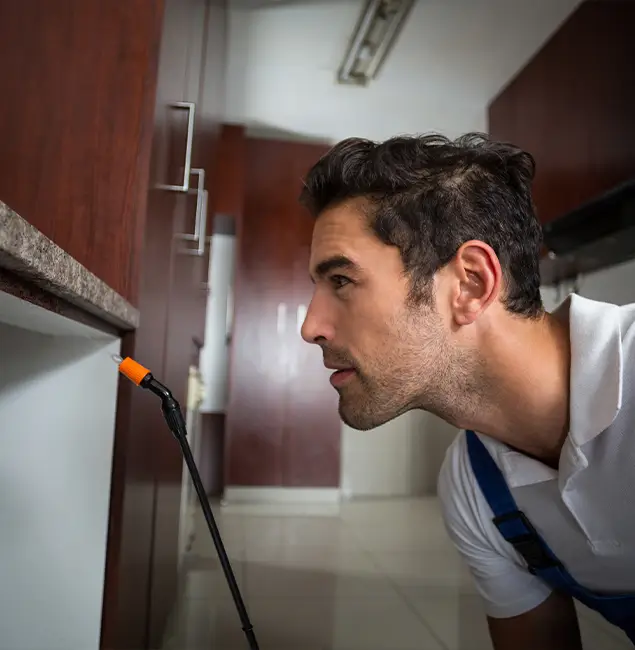 Why Choose Lake Oswego Pest Control Pro for Bed Bug Removal Cost in Lake Oswego, OR?