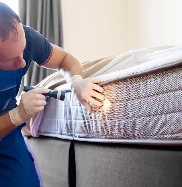 Why Choose Lake Oswego Pest Control Pro for Bed Bug Services in Lake Oswego, OR?