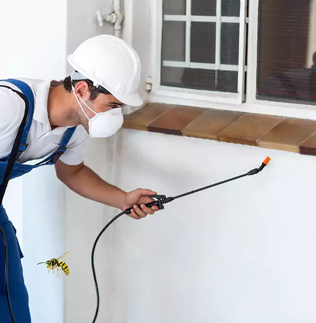 Why Lake Oswego Property Owners Choose Lake Oswego Pest Control Pro for Bee Nest Removal?
