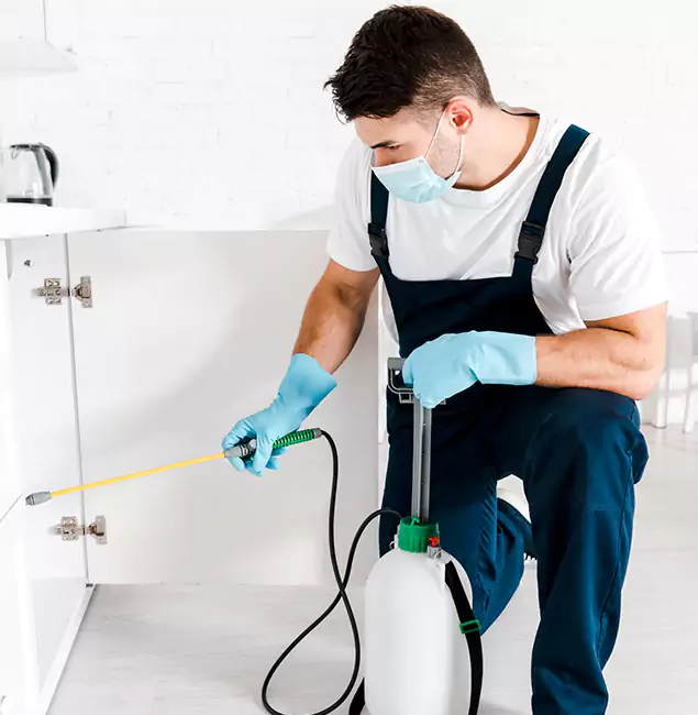 Why Choose Lake Oswego Pest Control Pro for Emergency Pest Control in Lake Oswego?