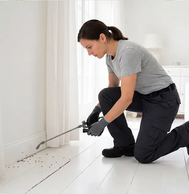 Why Lake Oswego, OR Property Owners Trust Lake Oswego Pest Control Pro for Fire Ant Control?