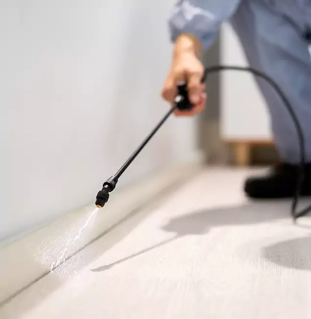 Why Choose Lake Oswego Pest Control Pro for Termite Treatment in Lake Oswego, OR?
