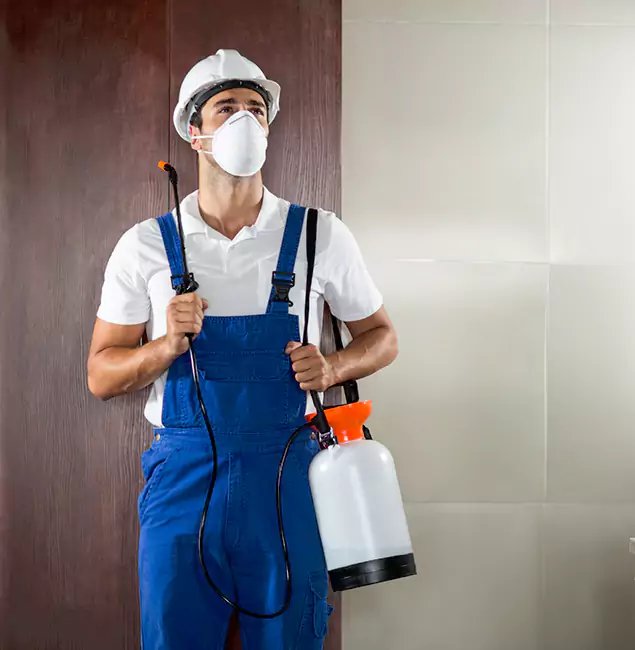 Why Choose Us for Heat Treatment for Termites in Lake Oswego, OR?