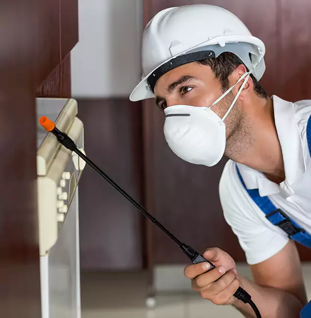 Why Lake Oswego Homeowners Rely on Lake Oswego Pest Control Pro for Tick Treatment?
