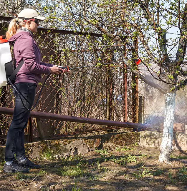 Why Lake Oswego Homeowners Choose Lake Oswego Pest Control Pro for Mosquito Abatement?