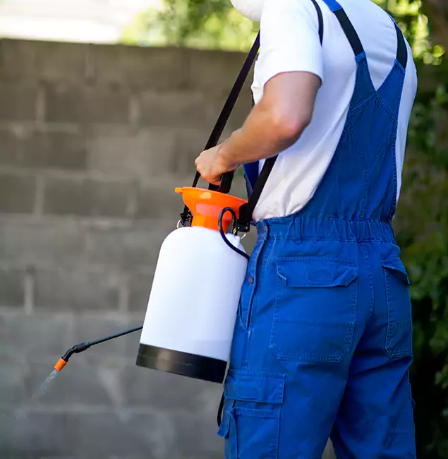 Why Lake Oswego Homeowners Rely on Lake Oswego Pest Control Pro for Mosquito Control?
