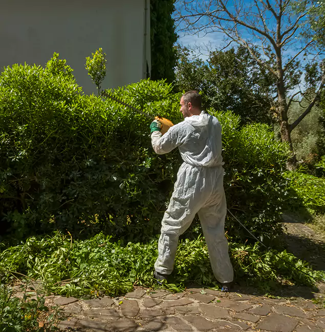 Why Lake Oswego Pest Control Pro Leads Mosquito Control in Lake Oswego, OR?