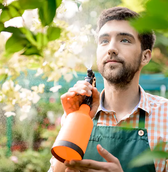 Why Lake Oswego Pest Control Pro Is the Best Mosquito Control Company in Lake Oswego, OR?