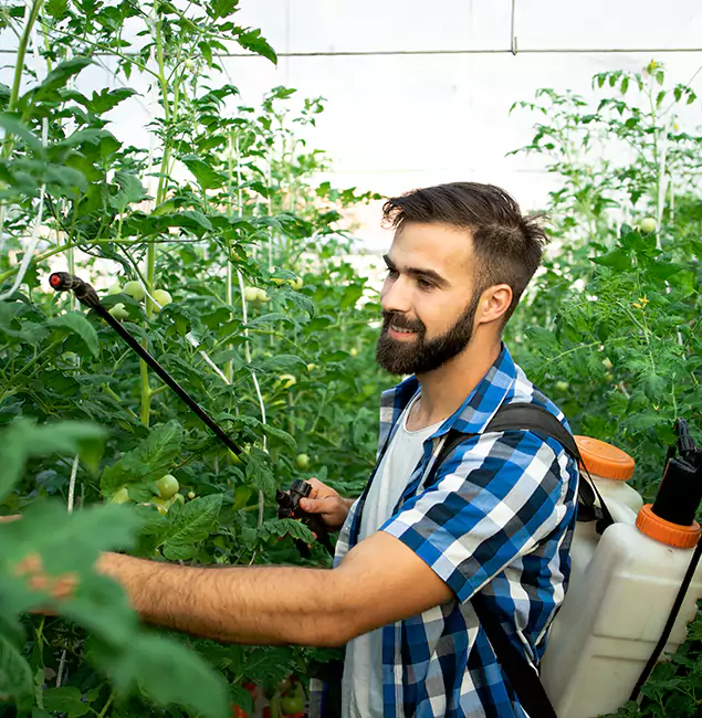 Why Lake Oswego Homeowners Choose Lake Oswego Pest Control Pro for Mosquito Spraying?