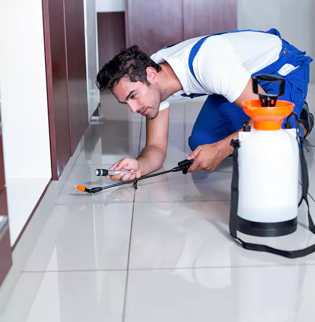 Why Lake Oswego Pest Control Pro Is the Proven Choice in Lake Oswego, OR?