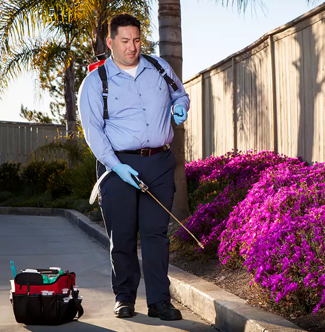 Why Choose Lake Oswego Pest Control Pro in Lake Oswego, OR?