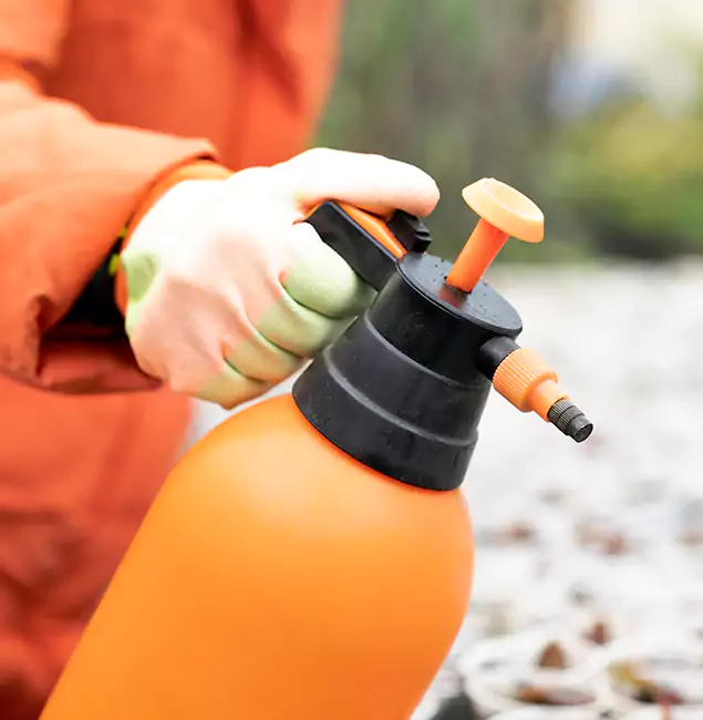 Why Choose Lake Oswego Pest Control Pro for Orange Termite Treatment in Lake Oswego, OR?