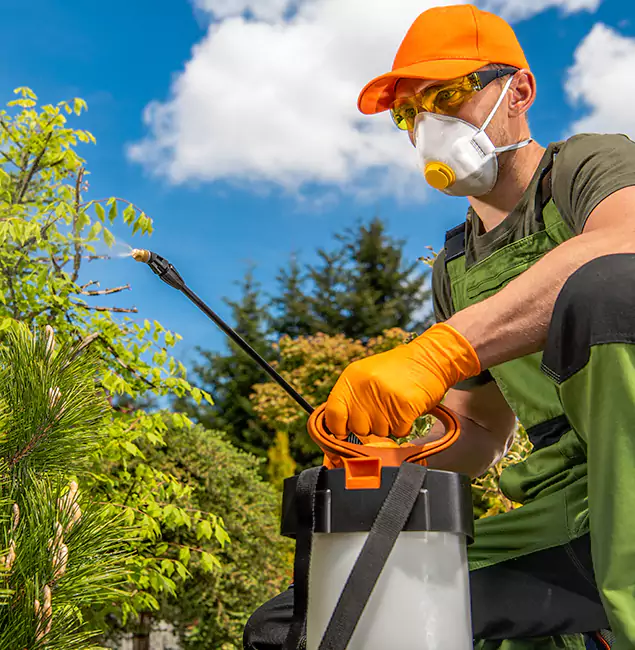 Why Choose Lake Oswego Pest Control Pro for Outdoor Pest Control in Lake Oswego, OR?