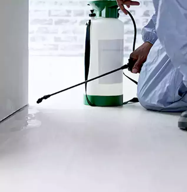 Why Choose Lake Oswego Pest Control Pro for Rat Exterminator in Lake Oswego, OR?