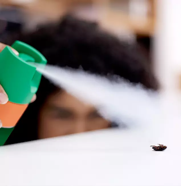 Why Lake Oswego, OR Homeowners Choose Lake Oswego Pest Control Pro for Roach Pest Control?