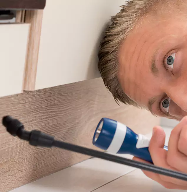 Why Choose Lake Oswego Pest Control Pro for Rodent Exterminator in Lake Oswego, OR?