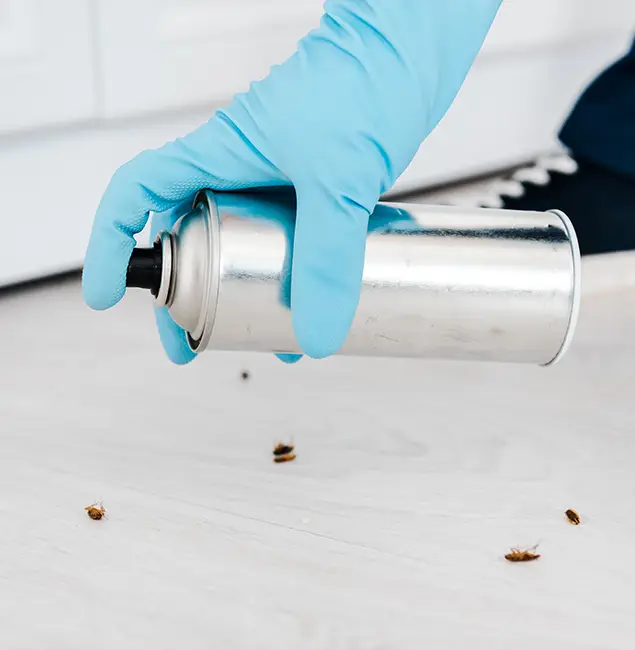 Why Choose Lake Oswego Pest Control Pro for Safe Bed Bug Treatment in Lake Oswego, OR?