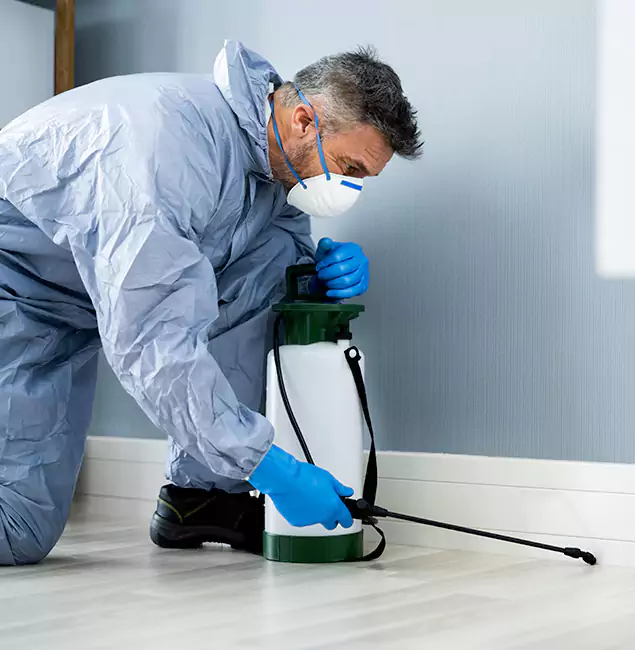 Why Choose Lake Oswego Pest Control Pro for Subterranean Termites Treatment in Lake Oswego, OR?
