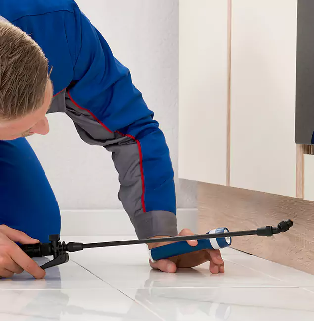 Why Lake Oswego Residents Choose Lake Oswego Pest Control Pro to Get Rid of Sugar Ants?