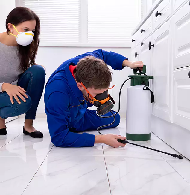 Why Choose Lake Oswego Pest Control Pro for Termite Inspection Cost in Lake Oswego, OR?