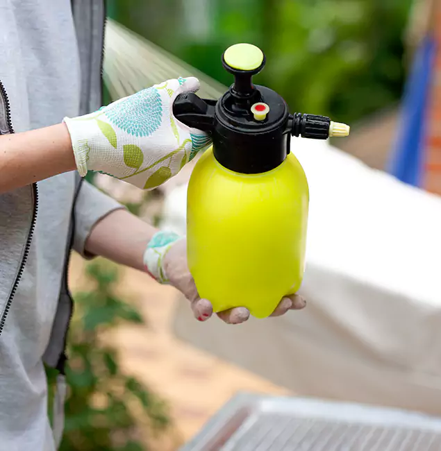 Why Choose Us: Lake Oswego Pest Control Pro Termite Spraying Experts in Lake Oswego, OR?