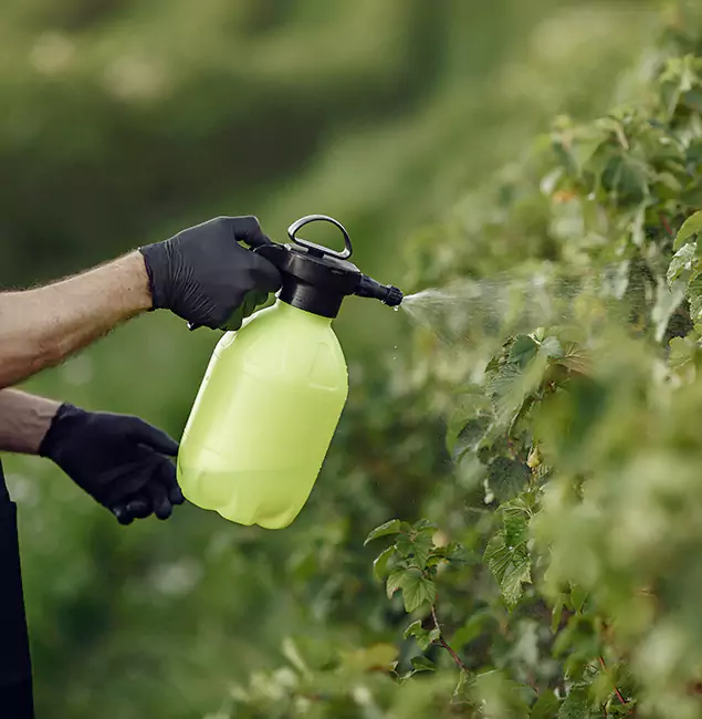 Why Lake Oswego Homeowners Choose Lake Oswego Pest Control Pro for Yard Tick Treatment?